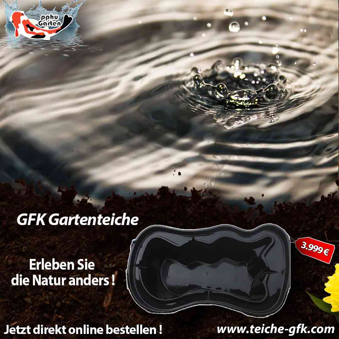 Startseite Gartenteiche