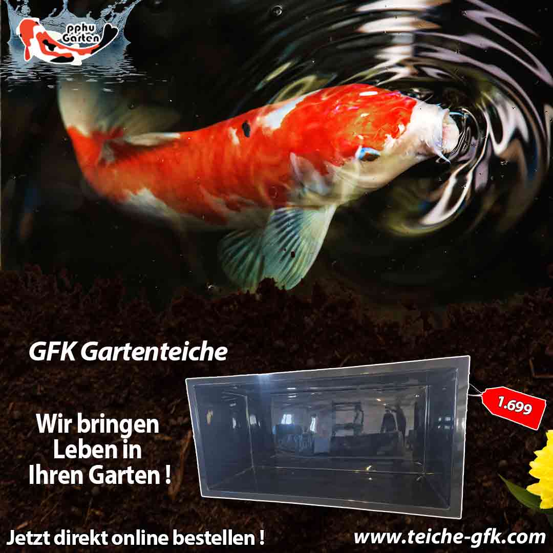 Startseite Gartenteiche